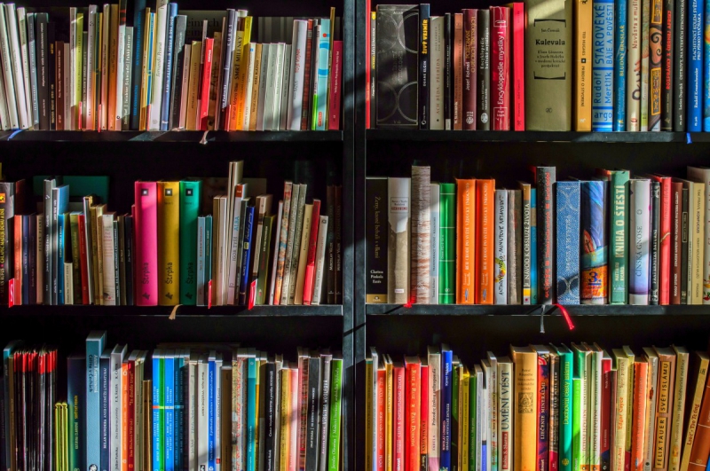 vitrine-STE MAXIME-min_books_bookstore_book_reading_shop_writer_sale_books_read-822866